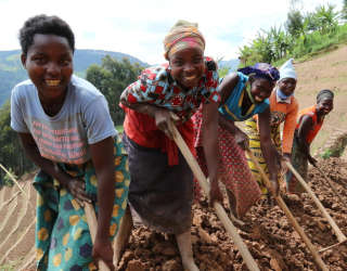 WFP:n Ruandan kestävä toimeentulo-ohjelma Länsi-Ruandan Rutsirossa. Kuva: WFP/Emily Fredenberg