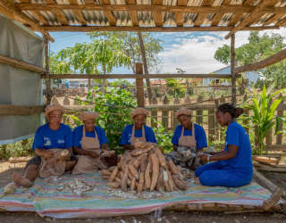 Madagaskarin P4P-ohjelmalla pyritään lisäämään pienviljelijöiden mahdollisuuksia ja pääsyä maatalousmarkkinoille. Kuva: WFP/Giulio d'Adamo