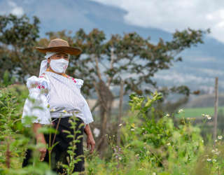 Imantagin maaseutualuetta Imbaburan maakunnassa Ecuadorissa. Kuva: WFP/Ana Buitron