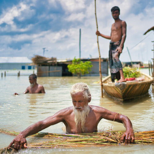 Mies seisoo rintaansa myöten tulvavedessä ja käsittelee viljaa