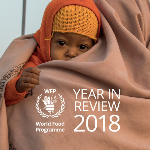 WFP - 2018 Vuosiraportti 