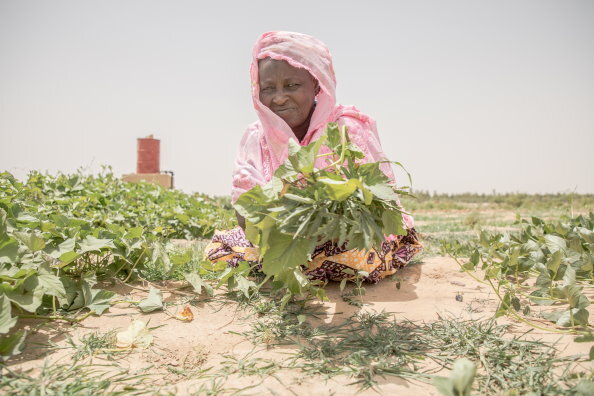 Kuva: WFP/ Simon Pierre Diouf