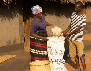 Malawi. Hävikin lopettaminen. Ruoan varastointi varastossa. Kuva: WFP/Badre Bahaji