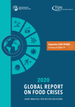 Global Report on Food Crises Update: In times of COVID-19 - Syyskuu 2020