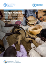 Hunger Hotspots: FAO-WFP early warnings on acute food insecurity (maalis-heinäkuun 2021 ennuste)