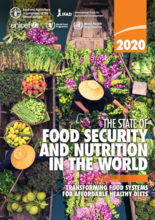 The State of Food Security and Nutrition in the World (SOFI) raportti 2020
