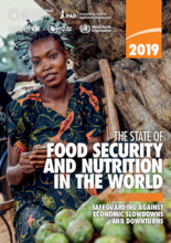 2019 - Ruokaturvallisuuden ja ravitsemuksen tila maailmassa (SOFI): Varautuminen taloudelliseen taantumaan ja laskusuhdanteeseen