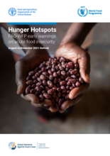 Hunger Hotspots: FAO-WFP early warnings on acute food insecurity (elo-marraskuun 2021 ennuste)