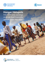 Nälän kriisipesäkkeet: FAO:n ja WFP:n varhaisvaroitukset akuutista ruokaturvattomuudesta | Näkymät ajalle kesäkuu-marraskuu 2023 