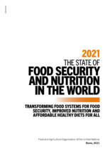 2021 State of Food Security and Nutrition in the World – Raportti ja tiivistelmä
